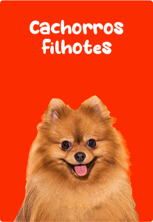 Mini banner Rodape 3