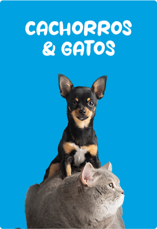 Mini banner Rodape 2