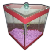 Beteira Club Pet Canto Decorada