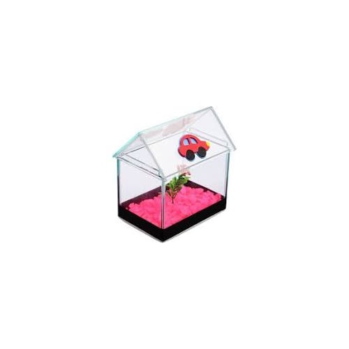 Beteira Club Pet Casinha Decorada N1
