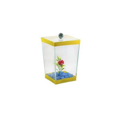 Beteira Club Pet Com Planta