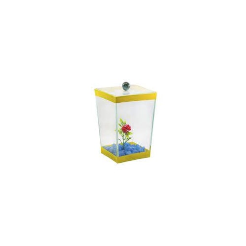 Beteira Club Pet Com Planta