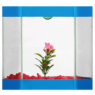 Beteira Club Pet Éden Decorada
