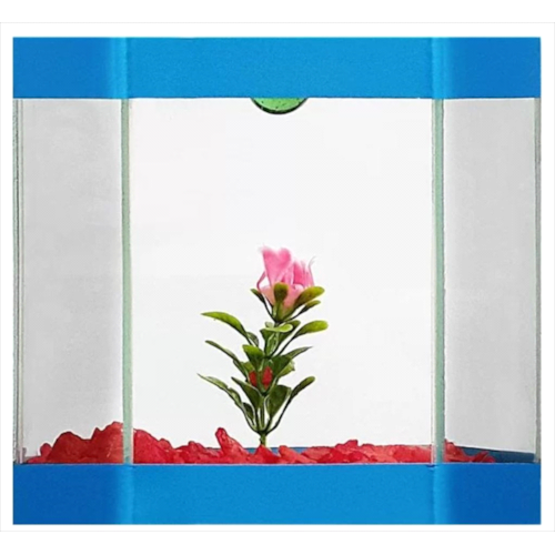 Beteira Club Pet Éden Decorada