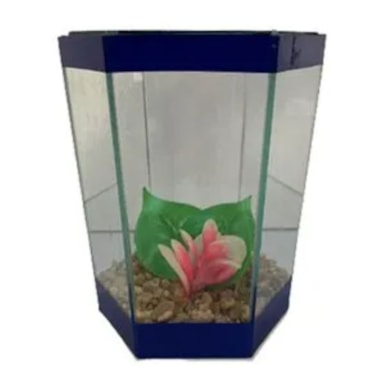 Beteira Club Pet Sextavada Decorada N2