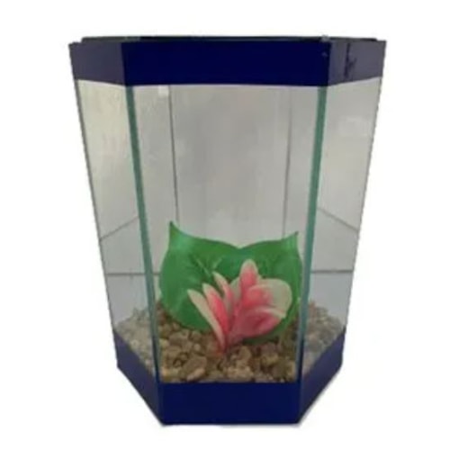Beteira Club Pet Sextavada Decorada N2