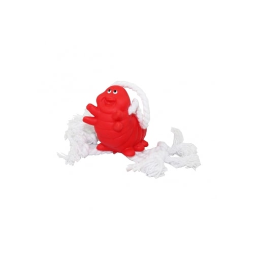 Brinquedo Club Pet Vinil Lagarta Baby com Corda