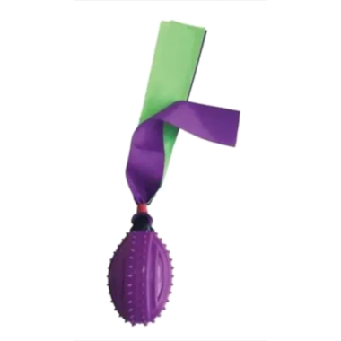 Brinquedo Homepet Bola de Futebol Americano com Fita