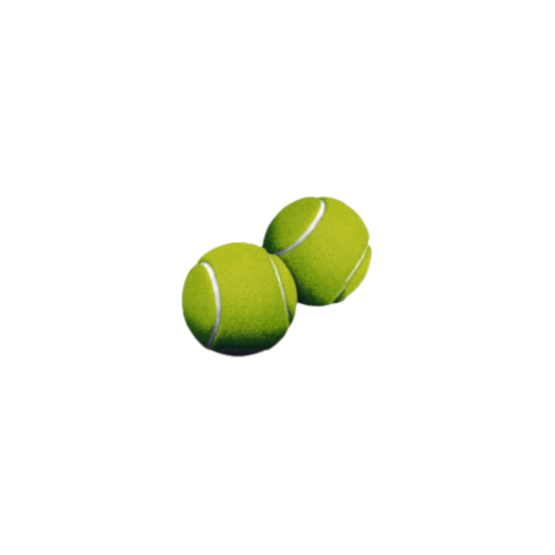 Brinquedo Savana Bola de Tênis com 2 unidades