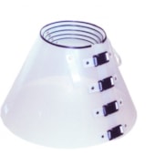 Colar Elizabetano Club Pet Branco N2