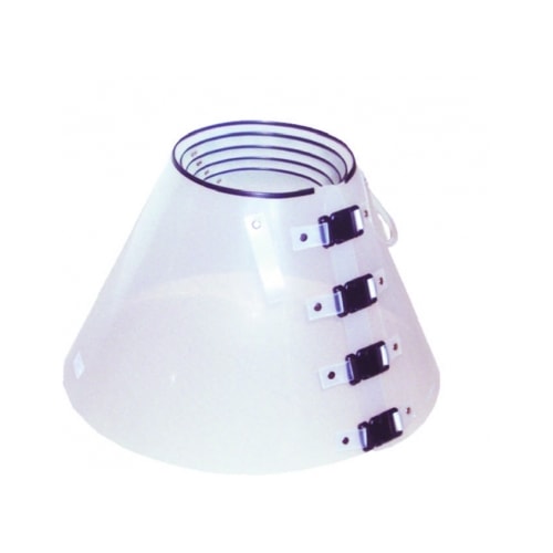 Colar Elizabetano Club Pet Branco N2
