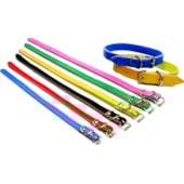 Coleira Club Pet Couro Forrada N4