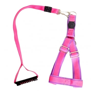 Conjunto Club Pet Guia e Peitoral Ajustável Raças Grandes Pequeno
