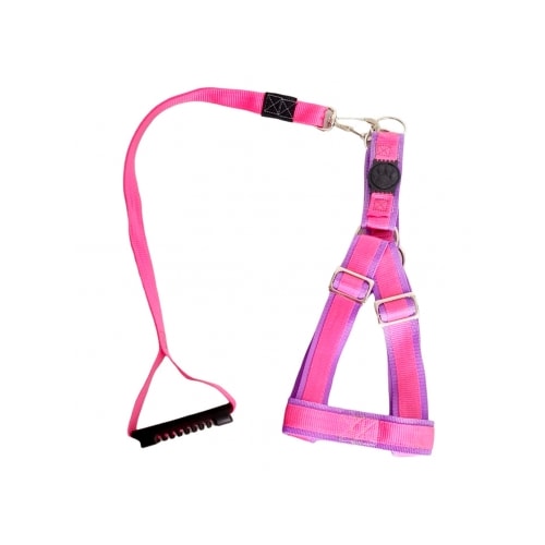 Conjunto Club Pet Guia e Peitoral Ajustável Raças Grandes Pequeno
