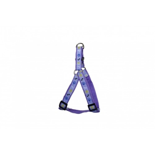 Conjunto Club Pet Guia e Peitoral com Regulador Pata Grande