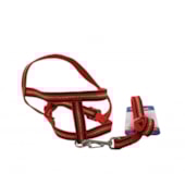 Conjunto Club Pet Guia e Peitoral Glitter N1