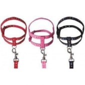 Conjunto Club Pet Guia e Peitoral Osso e Pata N0