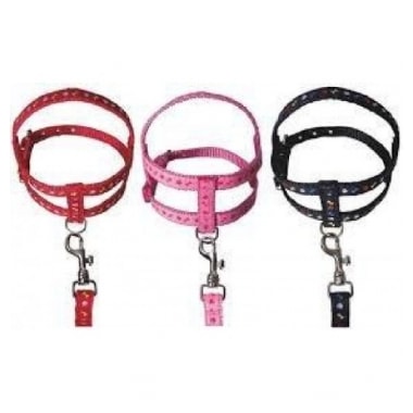 Conjunto Club Pet Guia e Peitoral Osso e Pata N0