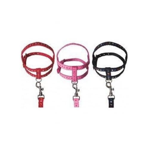 Conjunto Club Pet Guia e Peitoral Osso e Pata N0