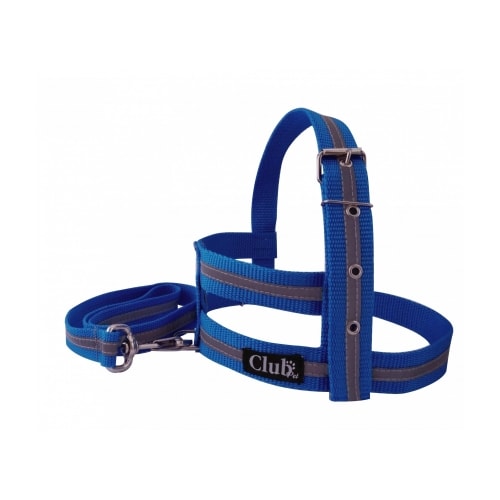 Conjunto Club Pet Guia e Peitoral Refletivo Azul Pequeno