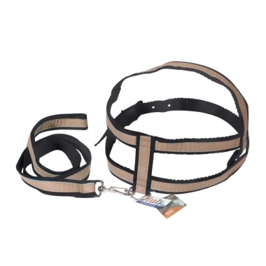 Conjunto Club Pet Guia e Peitoral Refletivo N3