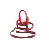 Conjunto Club Pet Guia e Peitoral Refletivo Vermelho Médio