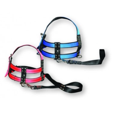 Conjunto Club Pet Guia e Peitoral Reforçada Grande