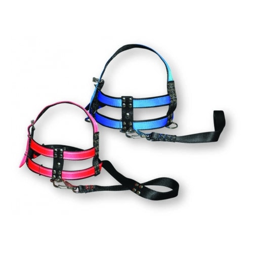 Conjunto Club Pet Guia e Peitoral Reforçada Grande