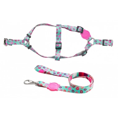 Conjunto Club Pet Guia e Peitoral Seda Crush Grande