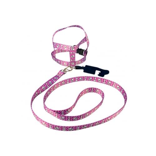 Conjunto Club Pet Guia e Peitoral Seda N4