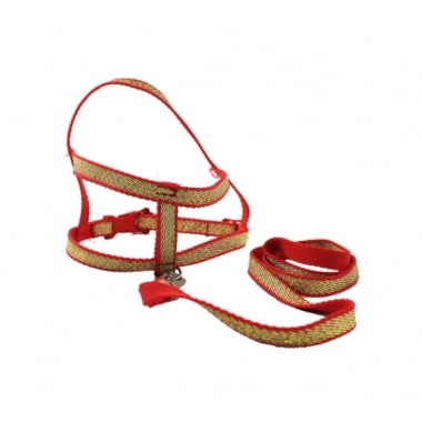 Conjunto Club Pet Guia e Peitoral Super Glitter N4
