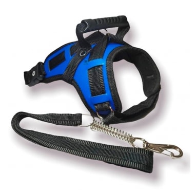Conjunto Club Pet Guia e Peitoral Tático Ajustável Azul Grande
