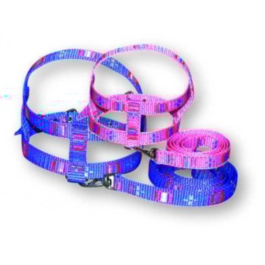 Conjunto Club Pet Guia e Peitoral Tubular N4