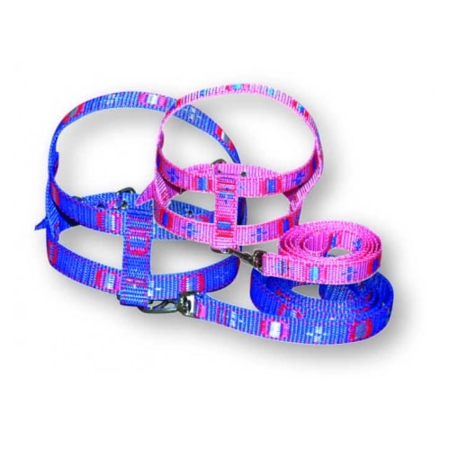 Conjunto Club Pet Guia e Peitoral Tubular N4