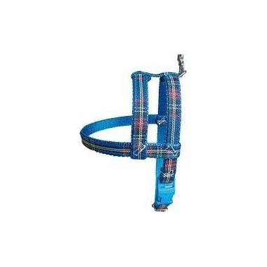 Conjunto Club Pet Guia e Peitoral Xadrez N4
