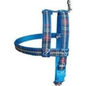 Conjunto Club Pet Guia e Peitoral Xadrez N5
