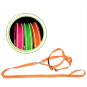 Conjunto Inter Pets Guia e Peitoral Neon n4
