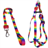 Conjunto Pet Repasse Guia e Peitoral Americano Luxo Médio