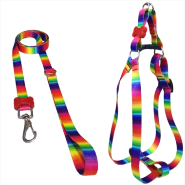 Conjunto Pet Repasse Guia e Peitoral Americano Luxo Médio