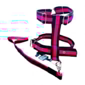 Conjunto Pet Repasse Guia e Peitoral Pit Bull Tração 40mm Médio