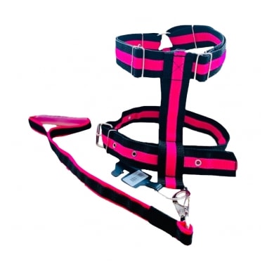 Conjunto Pet Repasse Guia e Peitoral Pit Bull Tração 40mm Médio