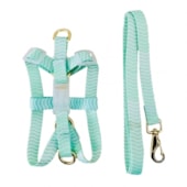 Conjunto Pet Repasse Guia e Peitoral Seda Ajustável Premium N5