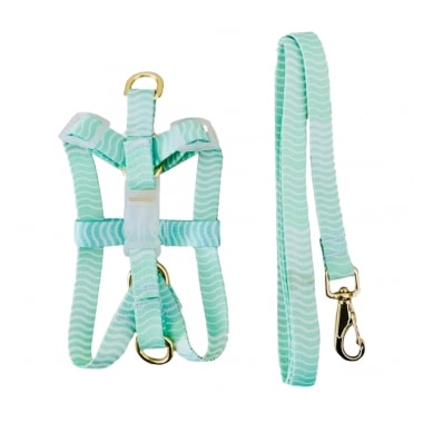 Conjunto Pet Repasse Guia e Peitoral Seda Ajustável Premium N5