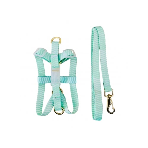 Conjunto Pet Repasse Guia e Peitoral Seda Ajustável Premium N5
