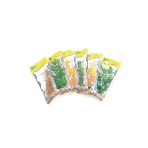 Enfeite Club Pet Plantas Mini Aquários com 6 unidades