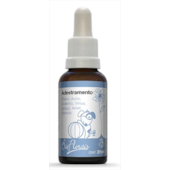 Floral Bio Florais Adestramento 31ml