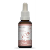 Floral Bio Florais Estresse 31ml