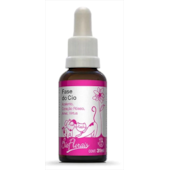 Floral Bio Florais Fase do Cio 31ml