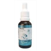 Floral Bio Florais Filhotes 31ml