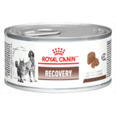 Patê Royal Canin Recovery 195g